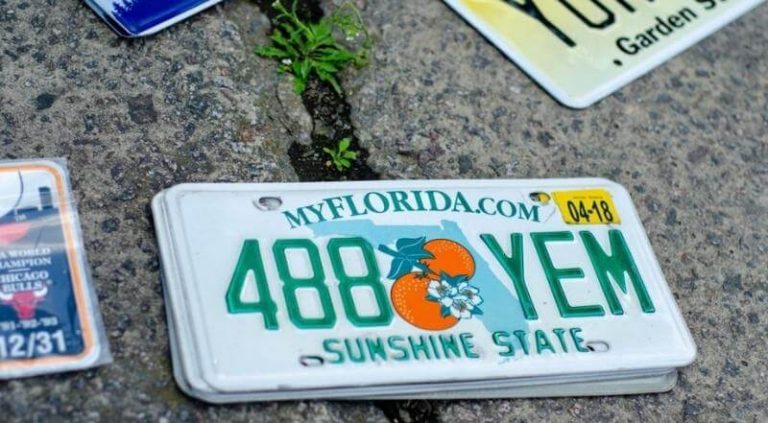 How To Commercial Tag Renewal Florida In 2022 How To Commercial Tag Renewal Florida In 2022