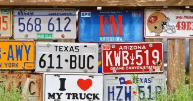 Discovering Different Styles of Number Plates
