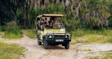 Evolution of Safari Cars for Wild Adventures (1)