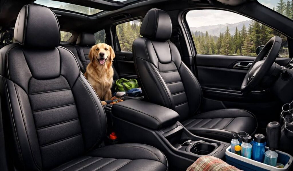 best kia sorento seat covers