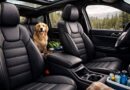 best kia sorento seat covers